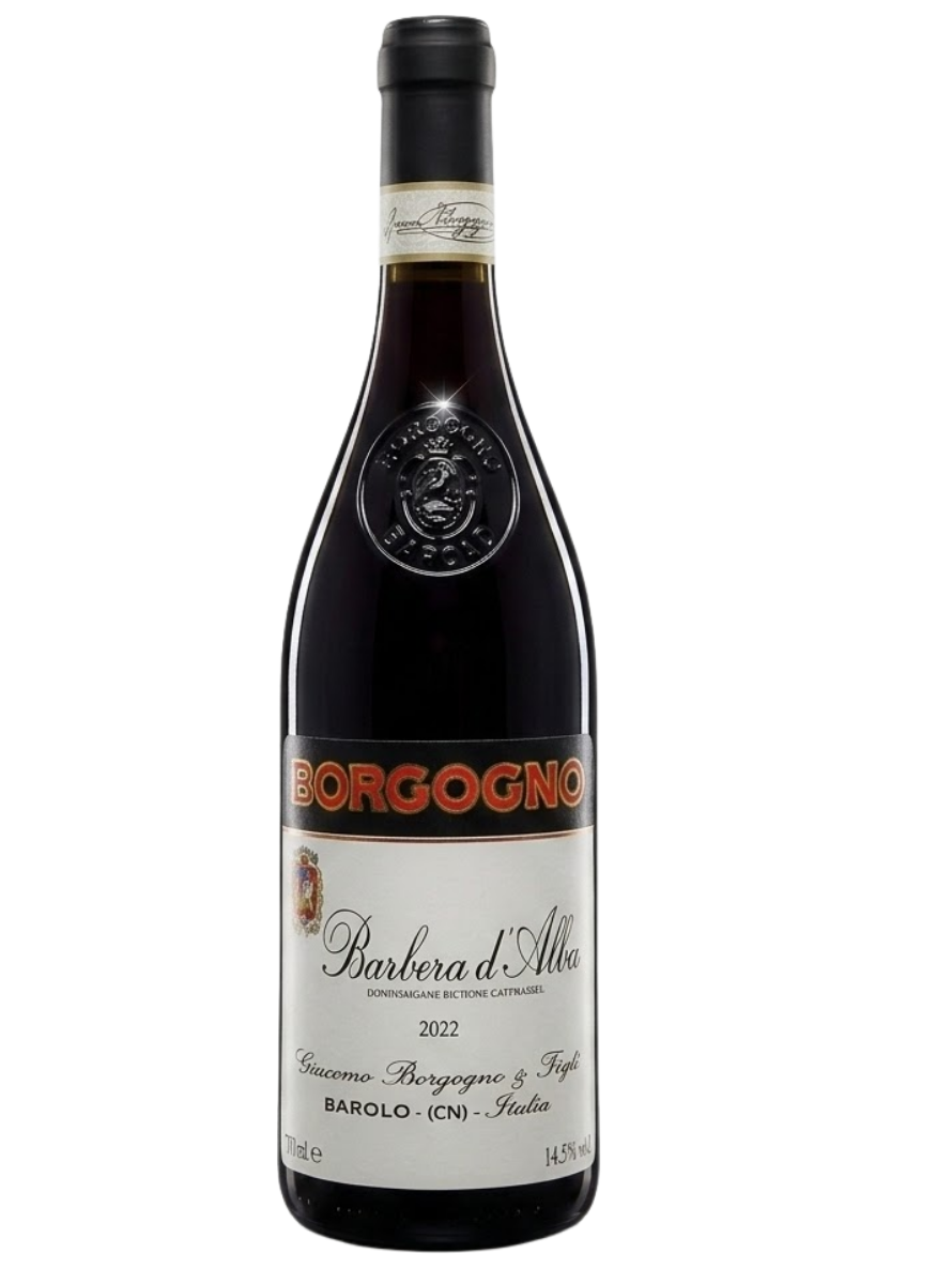 Giacomo Borgogno | Barbera d'Alba DOC | 2022 | 750ml | Vinho Tinto Italiano